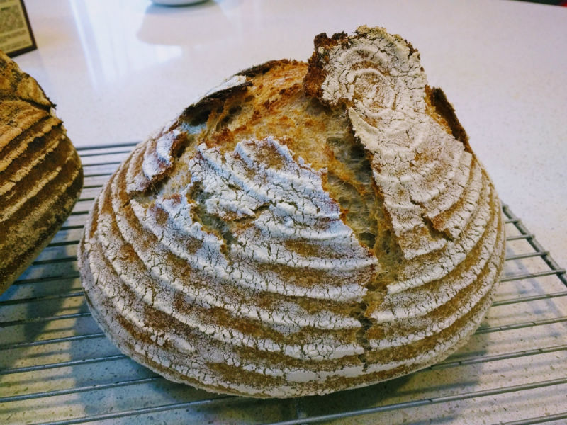 Sourdough Bread